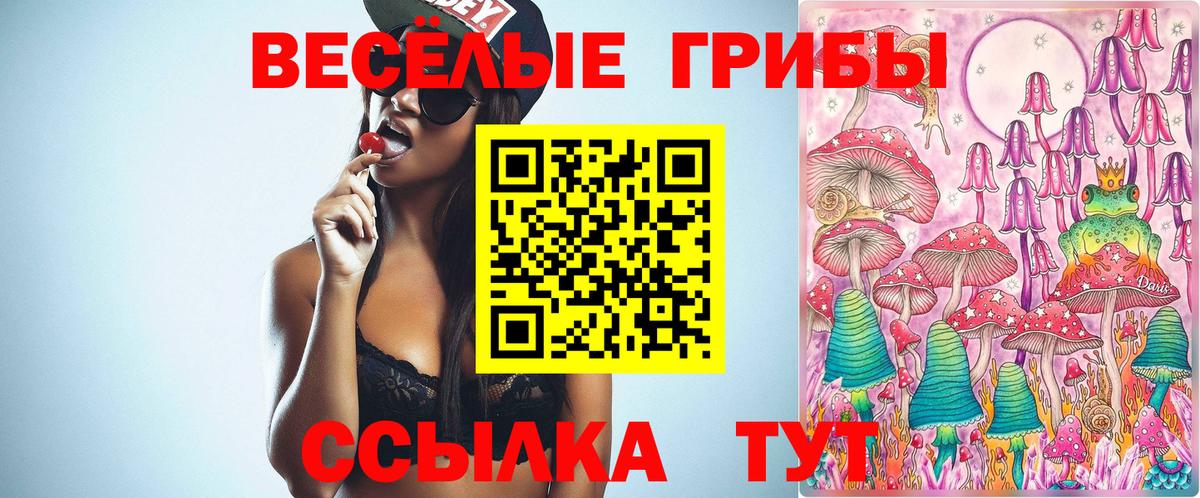 Псилоцибиновые грибы прущие грибы  Губкинский  купить  цена  Псилоцибиновые грибы мицелий 