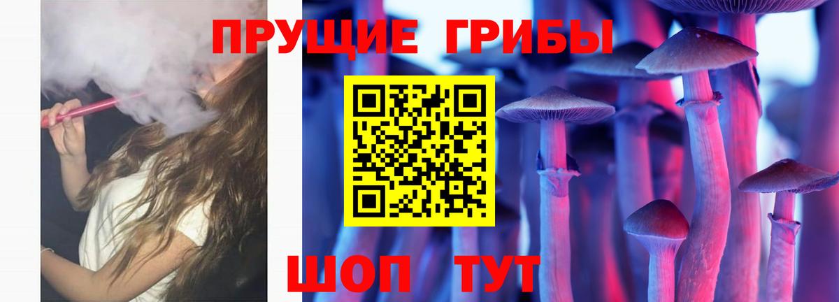 Губкинский  Псилоцибиновые грибы Cubensis  Вход с VPN  дарнет шоп  Псилоцибиновые грибы Psilocybe 